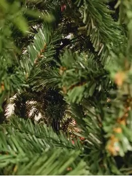 Christmas Tree 225 CM Dark Green - საახალწლო ნაძვის ხე, 3 image