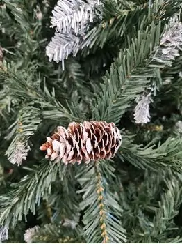 Christmas Tree With Pine Cones საახალწლო ნაძვის ხე გირჩებით 300 სმ, 3 image