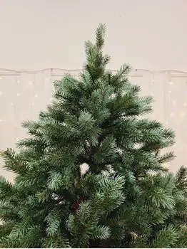 Holandiia Christmas Tree With Blue Tips PE 210 CM საახალწლო ნაძვის ხე, 100% სილიკონი, 2 image