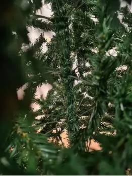 Christmas Tree საახალწლო ნაძვის ხე 270 სმ, 4 image