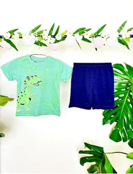Big Dinosaur 2in1 Set საბავშვო ორეული