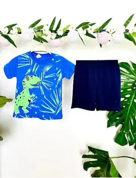 Big Dinosaur 2in1 Set საბავშვო ორეული