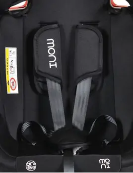 Cangaroo Dragon Black მანქანის სავარძელი (ქარსითი), 12 image