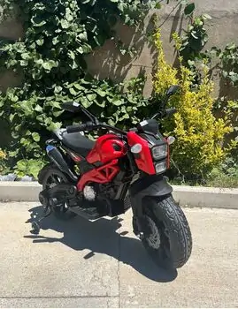 Cruiser Moto Red - ელექტრო მოტოციკლი კაუჩუკის საბურავებით