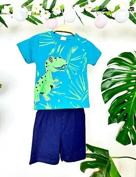Big Dinosaur 2in1 Set საბავშვო ორეული, 2 image