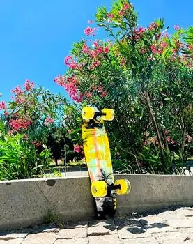 Penny Board Palms With LED Wheels პენიბორდი, 2 image