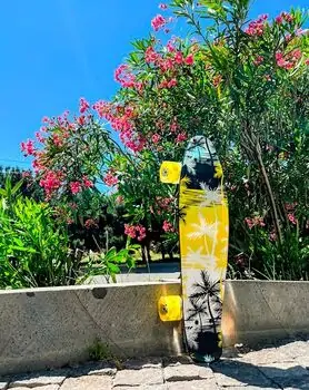 Penny Board Palms With LED Wheels პენიბორდი