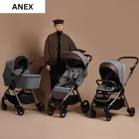 Anex