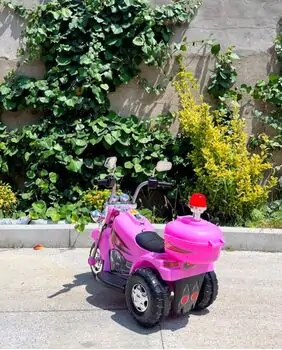 Delfino Police Pink - ელექტრო მოტოციკლი, 3 image