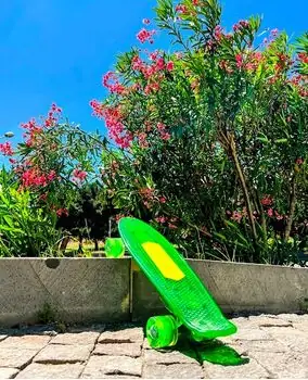 Penny Board Green With LED Wheels პენიბორდი, 2 image