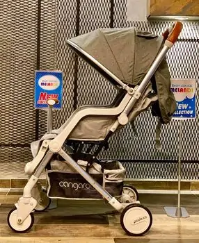 Cangaroo Mini Grey საბავშვო ეტლი, 8 image