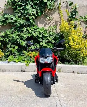 Electric Motor BO Houston Red - ელექტრო მოტოციკლი, 2 image