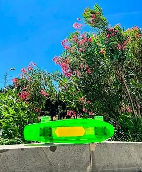 Penny Board Green With LED Wheels პენიბორდი