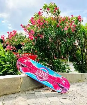 Skateboard  Pink Memory With LED Wheels სკეიტბორდი