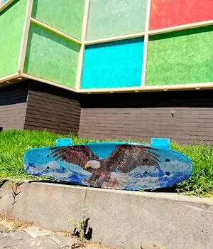 Penny Board Eagle With LED Wheels პენიბორდი, 2 image