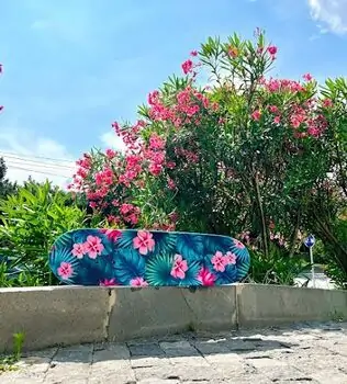 Skateboard Tropical Plants With LED Wheels სკეიტბორდი