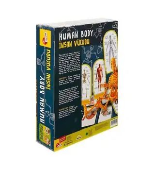 Human Body Science Set სათამაშო ადამიანის სხეულის ნაკრები, 3 image