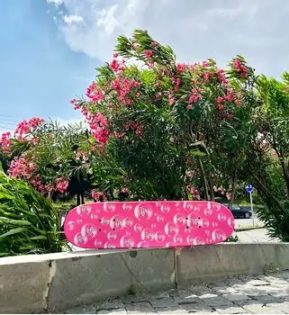 Skateboard Runyi Sport Pink With LED Wheels სკეიტბორდი