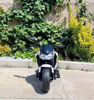 Electric Motor BO Houston White - ელექტრო მოტოციკლი, 2 image