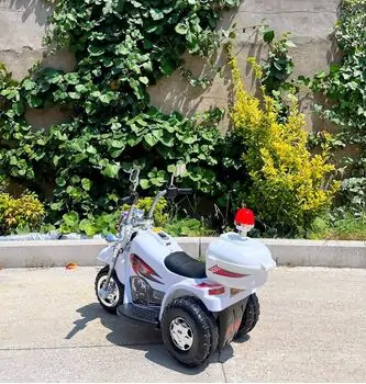 Delfino Police White - ელექტრო მოტოციკლი, 2 image