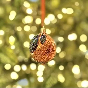 Fruit Hanging Decoration - ნაძვის ხის სათამაშო