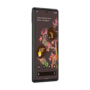 მობილური ტელეფონი Google Pixel 6 5G 8/256GB Stormy Black, 4 image