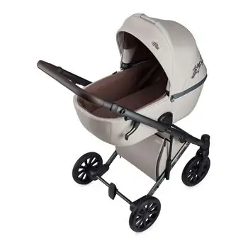 Anex e/type 2x1 Eden Limited Edition საბავშვო ეტლის კომპლექტი, 5 image