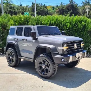 GWM Tank 300 Grey - ელექტრო მანქანა კაუჩუკის საბურავებით და ტყავის სავარძლით