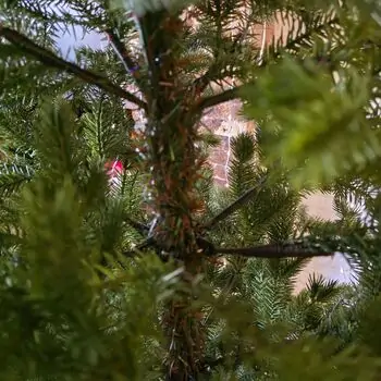 Christmas Tree Green 180 CM PE  - საახალწლო ნაძვის ხე, 100% სილიკონი, 6 image