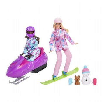 Barbie HGM75 Winter Sports Playset Dolls - სათამაშო ბარბის თოჯინა აქსესუარებით, 3 image