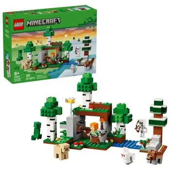 Lego 21593 First Night Adventure
