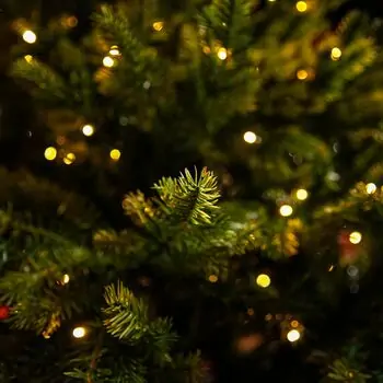 Christmas Tree With Lights  - საახალწლო ნაძვის ხე შერეული სილიკონის წიწვებით და განათებით 240 CM (OT2335), 14 image