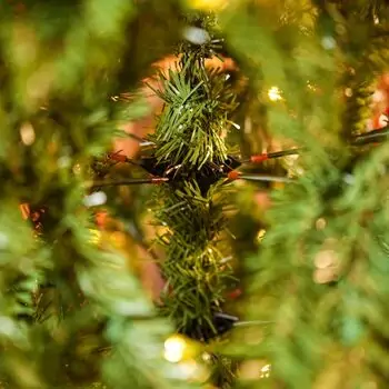 Christmas Tree With Lights PVC 210 CM  - ნაძვის ხე განათებით, 4 image
