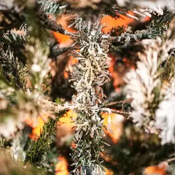 Snow-Covered Christmas Tree საახალწლო ნაძვის ხე დათოვლილი ტოტებით 180 სმ, 10 image