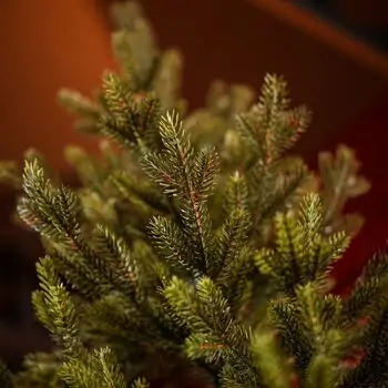 Christmas Tree PE+PVC 210 CM Green - ნაძვის ხე შერეული სილიკონის წიწვებით, 7 image