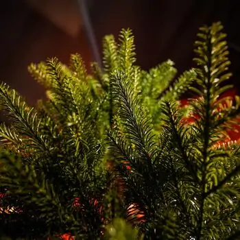 Evergreen Glow Christmas Tree PE 180 CM Light Green - საახალწლო ნაძვის ხე 100 % სილიკონი, 6 image