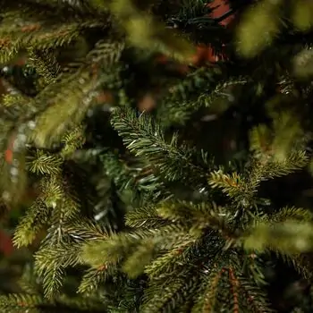 Christmas Tree PE+PVC 210 CM Green - ნაძვის ხე შერეული სილიკონის წიწვებით, 11 image