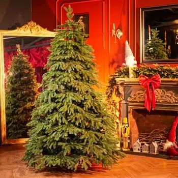 Christmas Tree With Mixed Silicone Needle PE +PVC 210 CM - ნაძვის ხე  შერეული სილიკონის წიწვებით