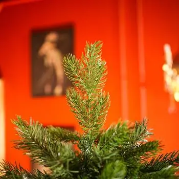 Christmas Tree With Mixed Silicone Needle PE+PVC 180 CM - ნაძვის ხე შერეული სილიკონის წიწვებით, 4 image