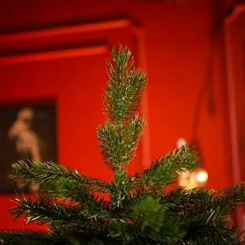 Christmas Tree With Mixed Silicone Needle PE+PVC 210 CM - ნაძვის ხე შერეული სილიკონის წიწვებით, 3 image