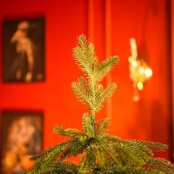 Christmas Tree With Mixed Silicone Needle PE+PVC 180 CM - ნაძვის ხე შერეული სილიკონის წიწვებით, 7 image