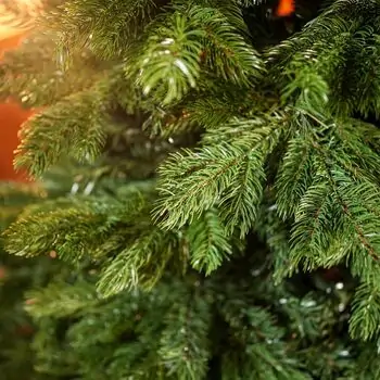 Christmas Tree With Mixed Silicone Needle PE+PVC 180 CM - ნაძვის ხე შერეული სილიკონის წიწვებით, 8 image