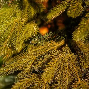 Christmas Tree With Mixed Silicone Needle PE +PVC 210 CM - ნაძვის ხე  შერეული სილიკონის წიწვებით, 9 image