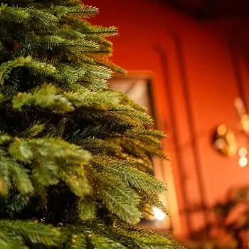 Christmas Tree With Mixed Silicone Needle PE +PVC 210 CM - ნაძვის ხე  შერეული სილიკონის წიწვებით, 6 image