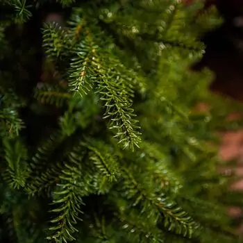 Evergreen Glow Christmas Tree PE 180 CM Light Green - საახალწლო ნაძვის ხე 100 % სილიკონი, 5 image