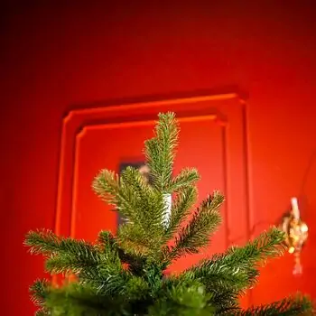 Christmas Tree 210 CM PE + PVC  - საახალწლო ნაძვის ხე შერეული სილიკონის წიწვებით, 3 image