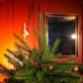 Evergreen Glow Christmas Tree PE 180 CM Light Green - საახალწლო ნაძვის ხე 100 % სილიკონი, 4 image
