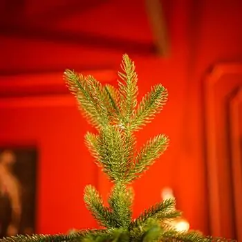 Christmas Tree With Mixed Silicone Needle PE +PVC 210 CM - ნაძვის ხე  შერეული სილიკონის წიწვებით, 10 image