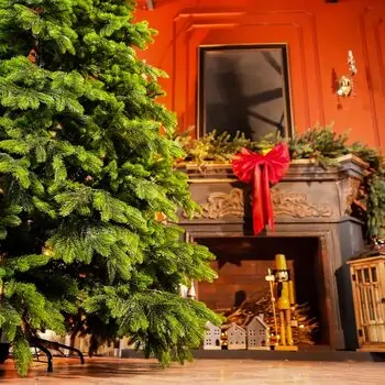 Christmas Tree PE 270 CM Green  - ნაძვის ხე 100% სილიკონი, 3 image