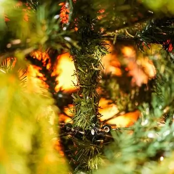 Christmas Tree With Mixed Silicone Needle PE+PVC 180 CM - ნაძვის ხე შერეული სილიკონის წიწვებით, 5 image